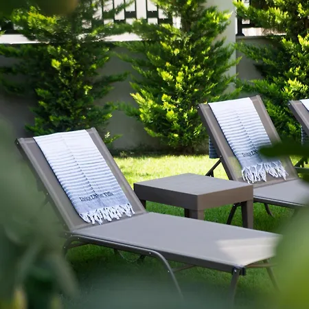 Living Dream Harmony *