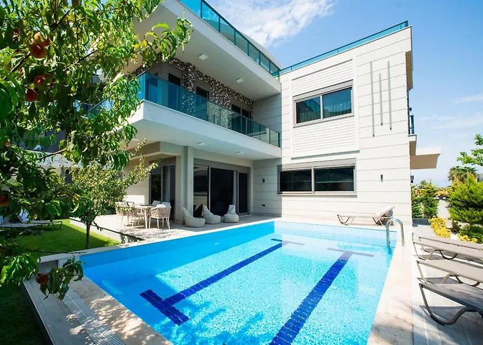 Living Dream Harmony 贝莱克