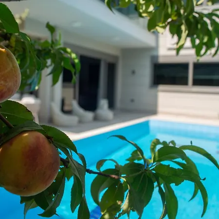 Living Dream Harmony *